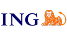 ing icon