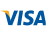 visa icon
